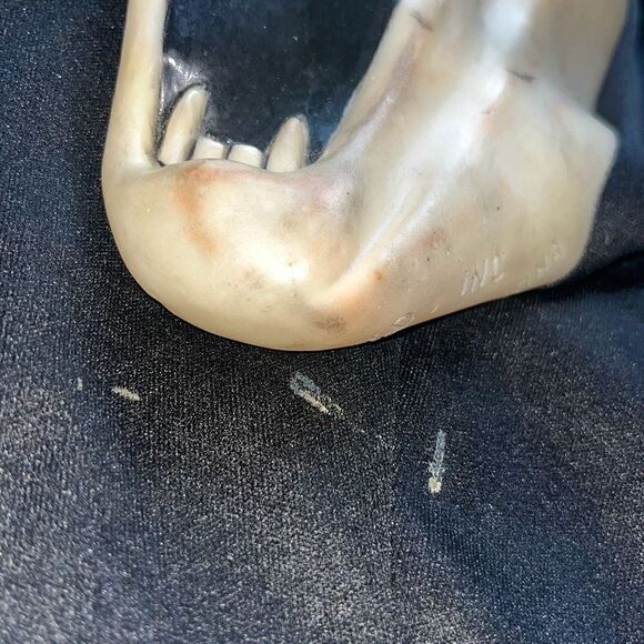 Vintage Fearsome Faces Ghostface FANG Scream Mask Easter Unlimited - Picture 4 of 11